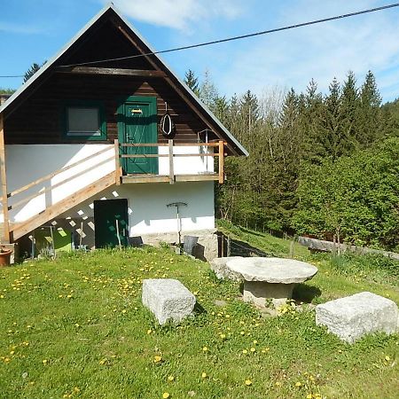 Ferienhaus Am Reitbauernhof Luckyranch Mellach  Exteriör bild