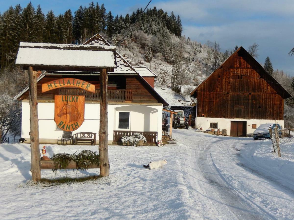 Ferienhaus Am Reitbauernhof Luckyranch Mellach  Exteriör bild